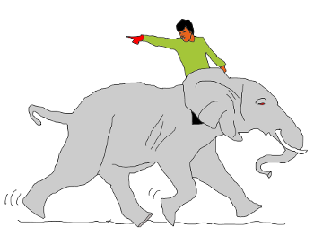 running-elephant No matter what the rider wants, the elephant gets his way.